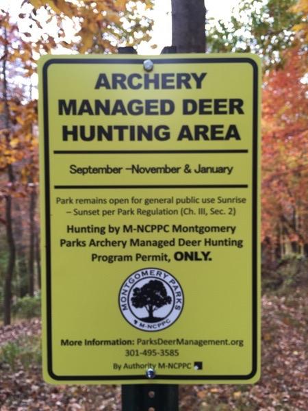 Hunters work to control deer population in woods behind school