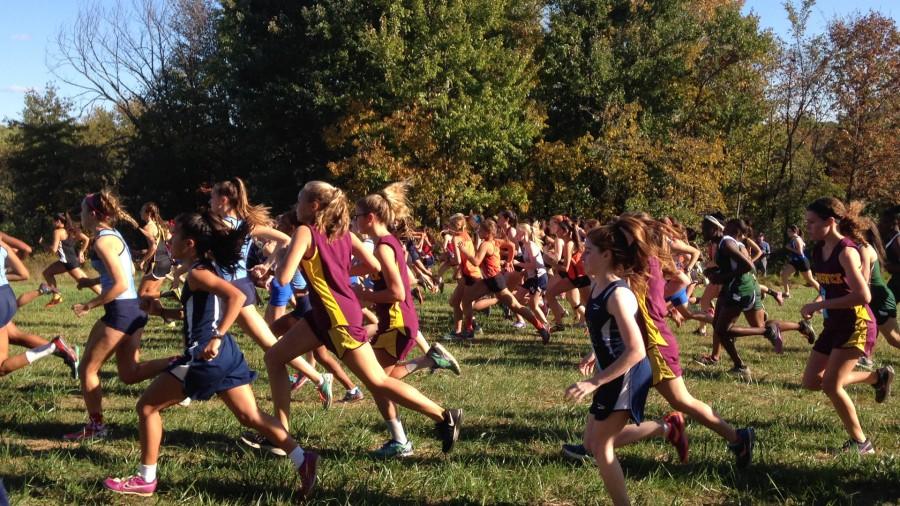 Girls cross country runs at the Coyote Invitational on October 15
