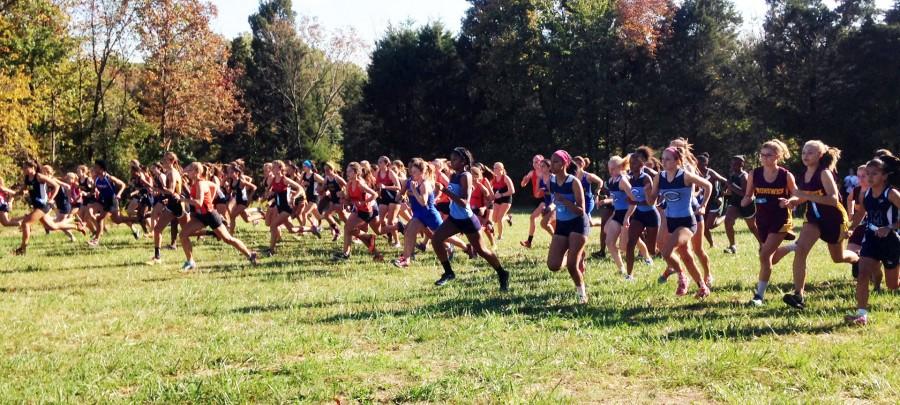 Girls cross country runs at the Coyote Invitational on October 15