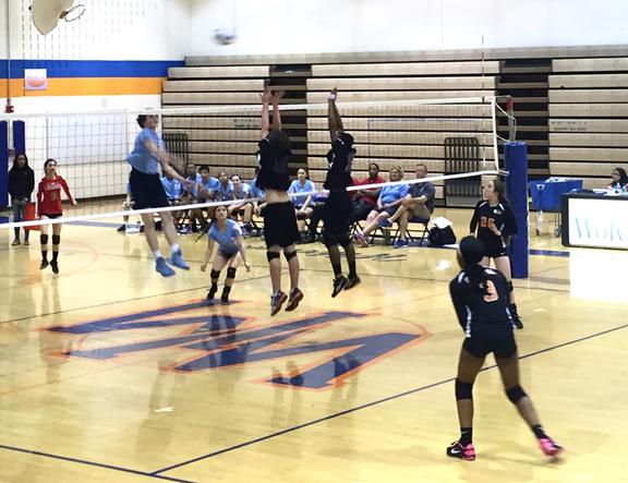 Coed, boys volleyball plan to swat Damascus Hornets tonight