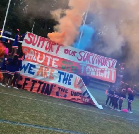 Football falls to Falcons on military appreciation, breast cancer awareness night