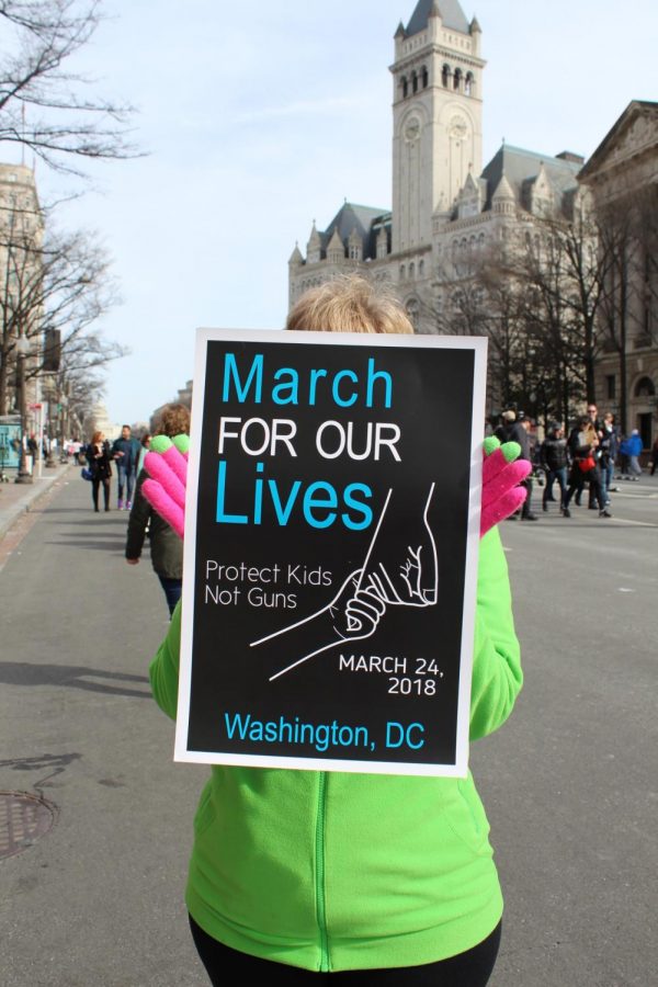 Protesters gathered on the National Mall on March 24 for the March for Our Lives