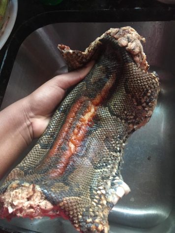 Story time: I ate a snake