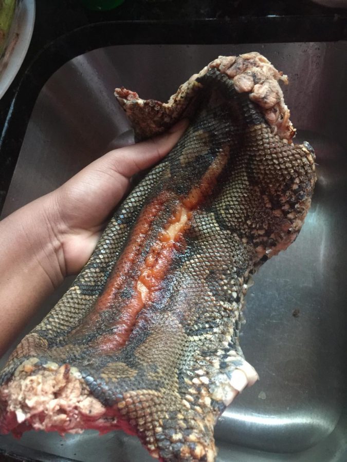 The actual viper that my mom cooked and I ate.