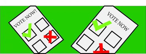 Voting provides outlet for expression of beliefs, values