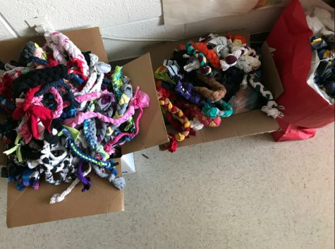 Key Club makes dog toys to donate to shelters over Thanksgiving