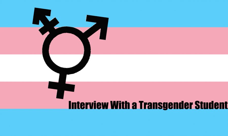 Transgender+students+face+a+variety+of+problems+that+cisgender+students+do+not+have+to+worry+about+on+a+daily+basis.++One+of+Watkins+Mills+transgender+students+discusses+those+here.