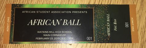 Tickets now on sale for WMHS’ third annual African Ball