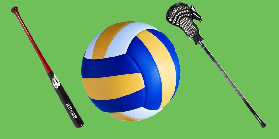 Spring+sports+season+begins+this+week%21+Find+out+what+the+teams+expect+for+this+season.