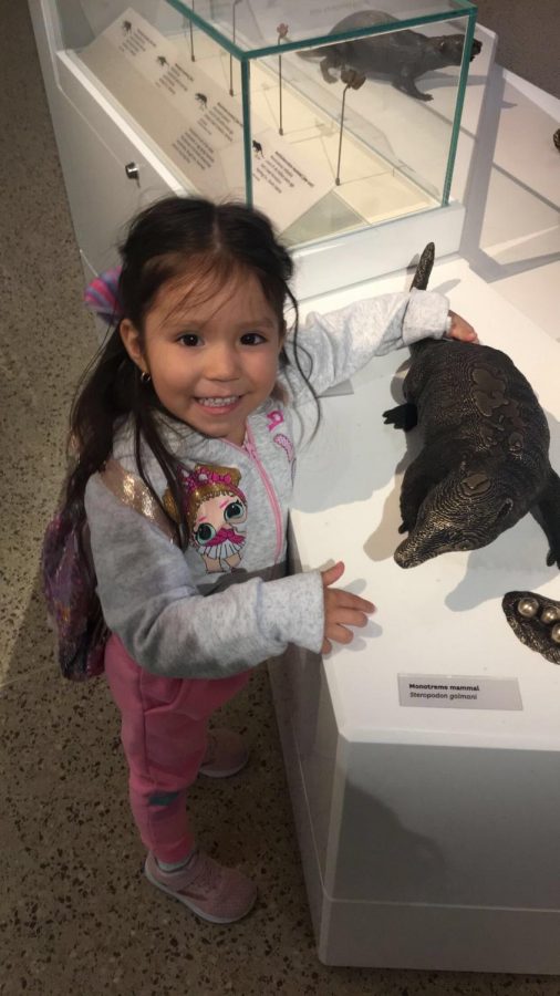 Preschooler Nicole with the model monotreme mammal. 