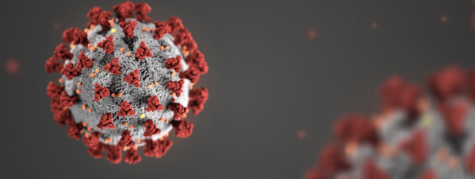 Governor Larry Hogan closed all Maryland public schools for two weeks due to the coronavirus outbreak.