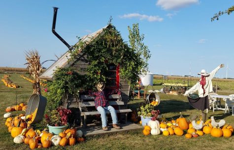 Don't let a pandemic prevent you from safely celebrating the fall season with (mostly) everyone's favorite holiday: Halloween!
