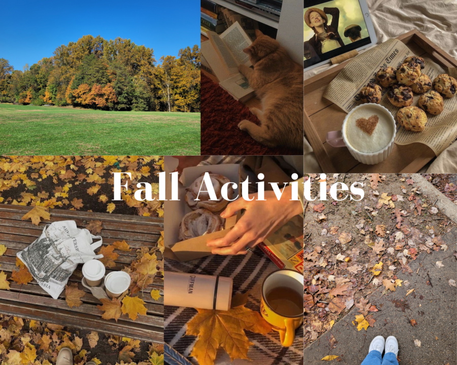 Fall activities to do this year