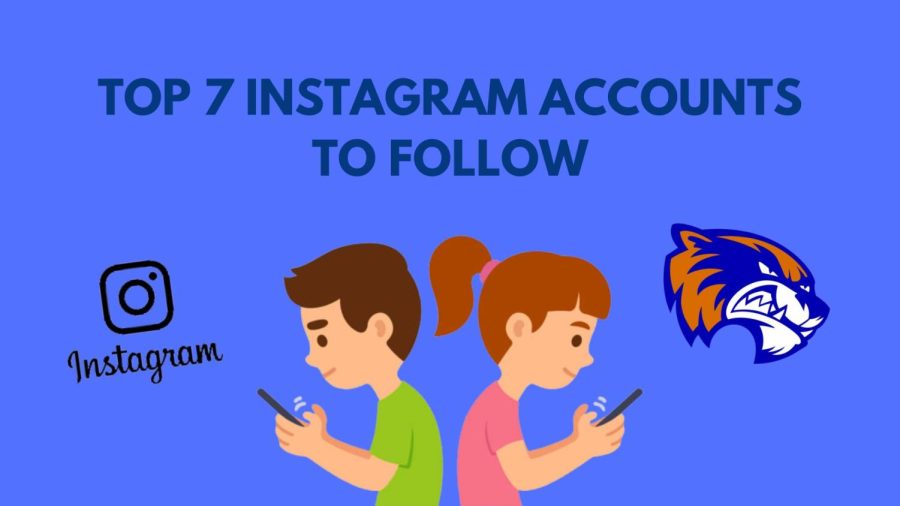 top 7 instagram accounts