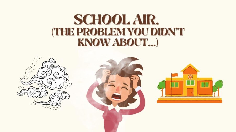 The school air is the culprit behind the crimes committed against my hair.