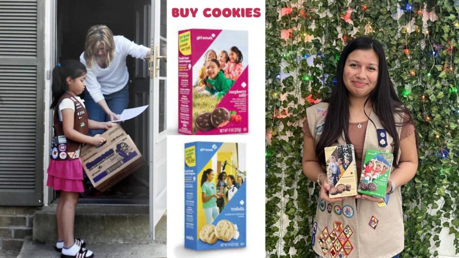 Resident Girl Scout Ambassador Emily Ferrufino ranks all of her favorite girl scout cookies.
