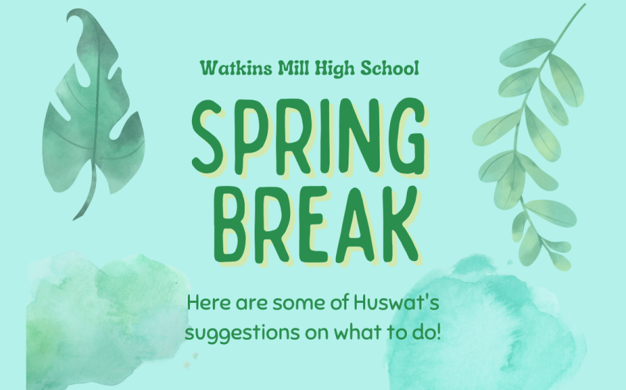 Here is a fabulous range of ideas on what you should do this Spring Break!