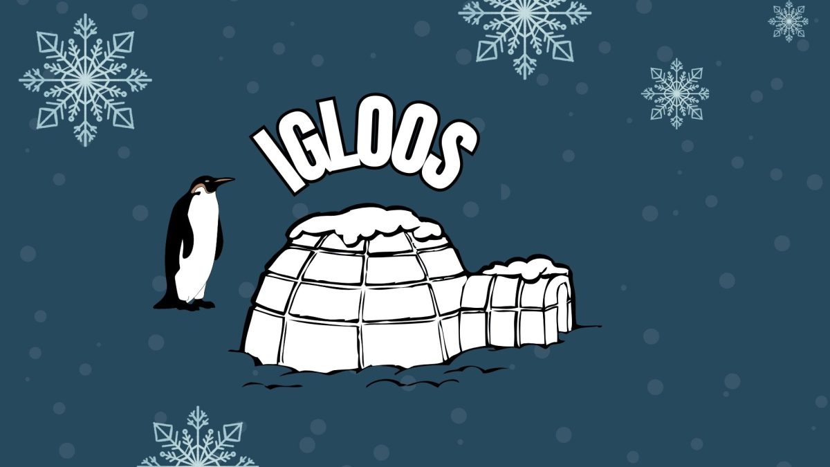 Tejan gives us very important information about Igloos and the Artic community!