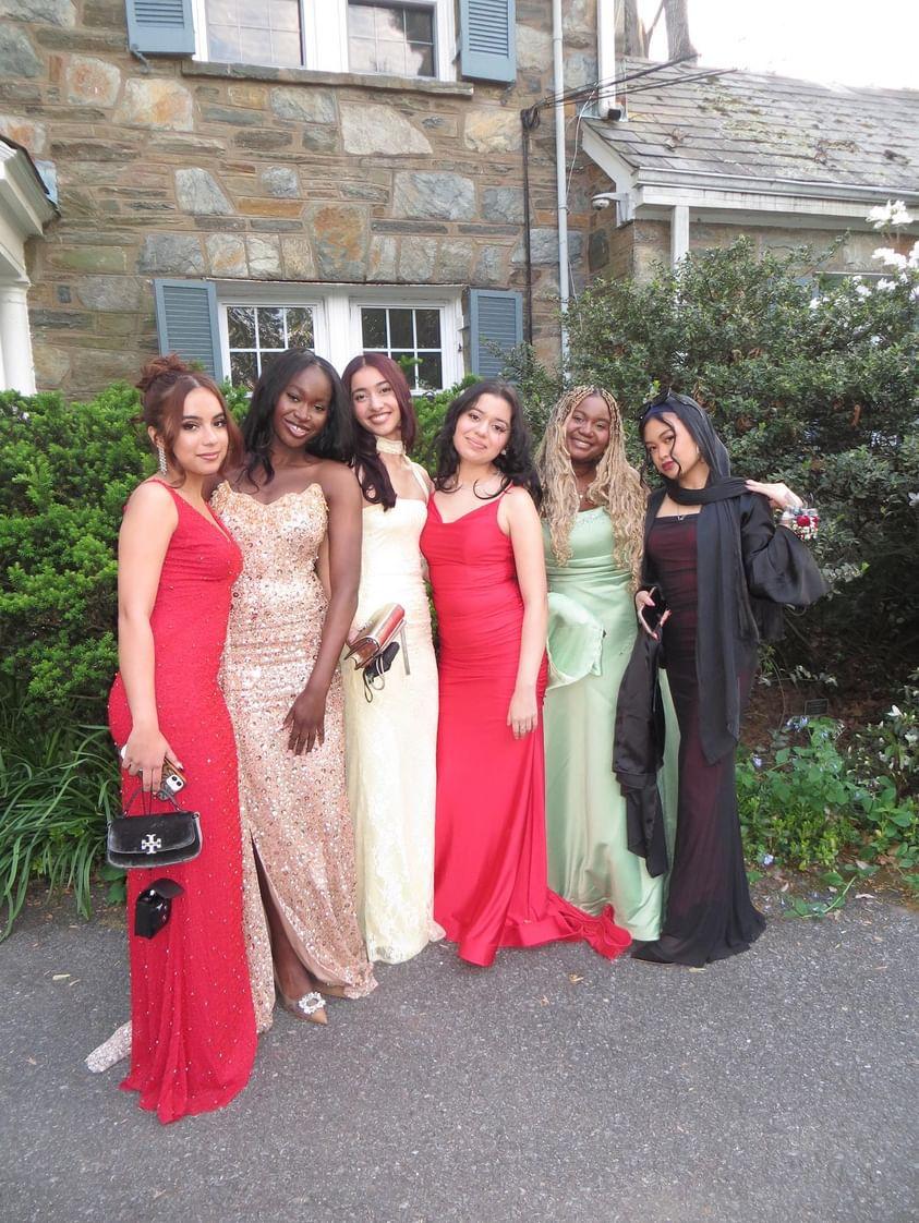 The girlies smile and stun in prom photos taken before prom. 