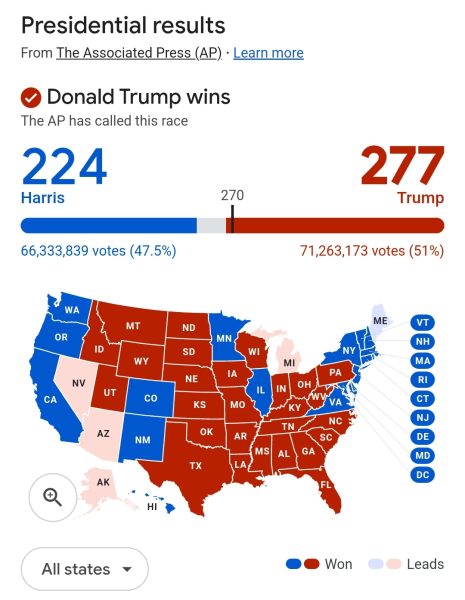 2024 Presidential Elections: Reliving my eight year old fears